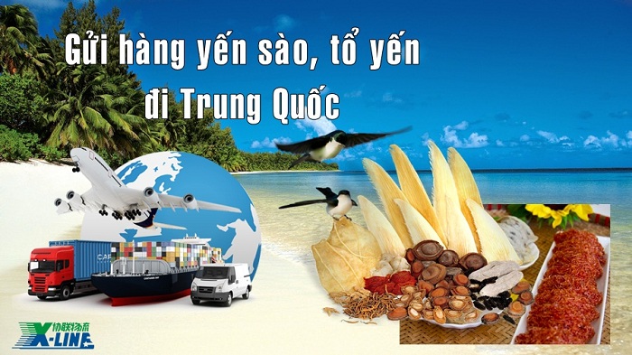 Gửi hàng yến sào, tổ yến đi Trung Quốc